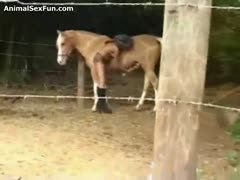 Milf in heats enjoys politely sucking the horse's dick.